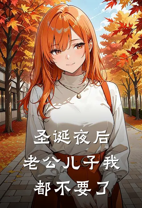 圣诞夜后，老公儿子我都不要了