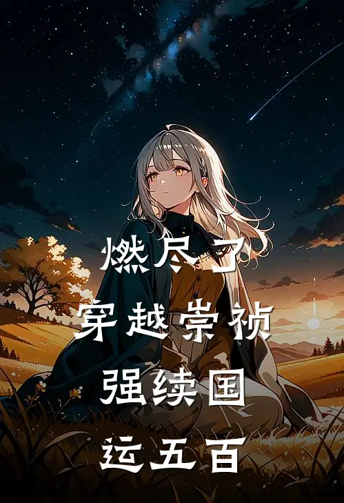 燃尽了：穿越崇祯，强续国运五百(叶木青王承恩)完整版免费小说_完结版小说推荐燃尽了：穿越崇祯，强续国运五百(叶木青王承恩)