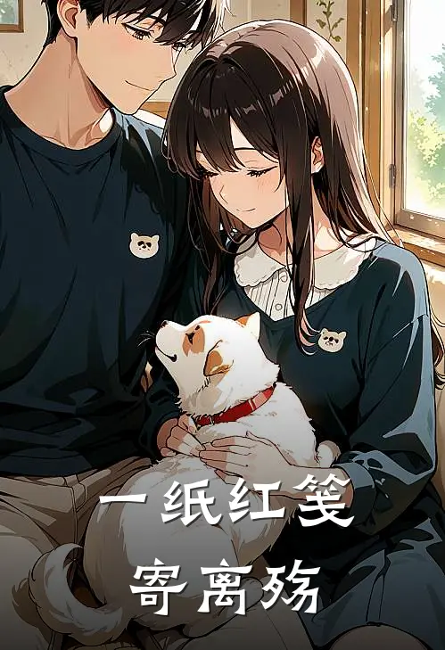 一纸红笺寄离殇沈述安江泠霜小说完整版_热门好看小说一纸红笺寄离殇(沈述安江泠霜)